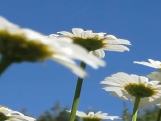 test video 2303 1849 upload ph mh p2v