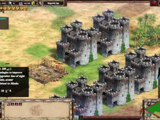 【age of Empire 2】005 Spanish help Mongols and Celts Army to Penalt back Malays