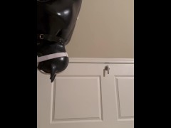LatexPup Uses VR (No Overlay)