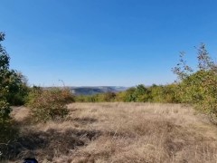 Squirted While Hiking Almost Got Caught - Screenshot 15 of 16 - Outdoor Masturbation