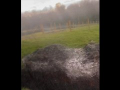 Risky nude walk on lane and onto golf course , standing in bunker and green