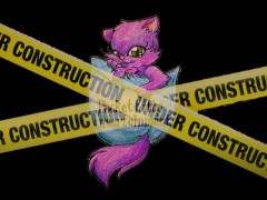 Pocket Kitty Entertainment Under Construction