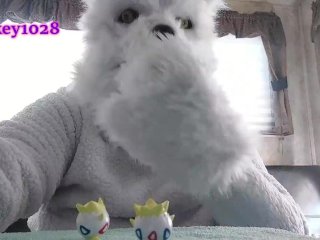 Furry Wolf Vores Three Togepi Pokemon