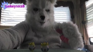 Furry Wolf Vores Three Togepi Pokemon