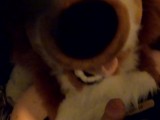 Matthew Fox is fucked bareback by a hung twink ( Furry / Fursuit / Mursuit )