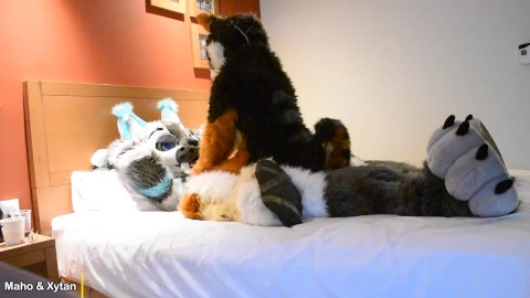 Fursuit Porn Videos | Pornhub.com