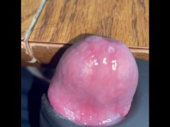 COCK Twitches from Workday Vibrator. Ends with overflowing Cum ORGASM - Screenshot 2 of 16 - Vibrator