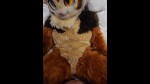 Playlist Thumb 309247581-1