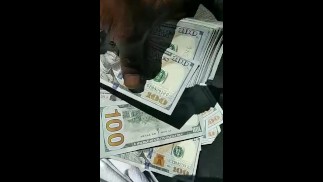 ЭТИ ДЕНЬГИ НЕ МОГУТ ОСТАТЬСЯ, ТАК ЧТО ЧЕРТОВА КИСКА МОЖЕТ ПОДОЖДАТЬ! РАЗУМ ГОРИЛЛЫ ВСЕГДА НАСТРОЕН НА БУМАЖНУЮ ПОГОНЮ❗️💯💰