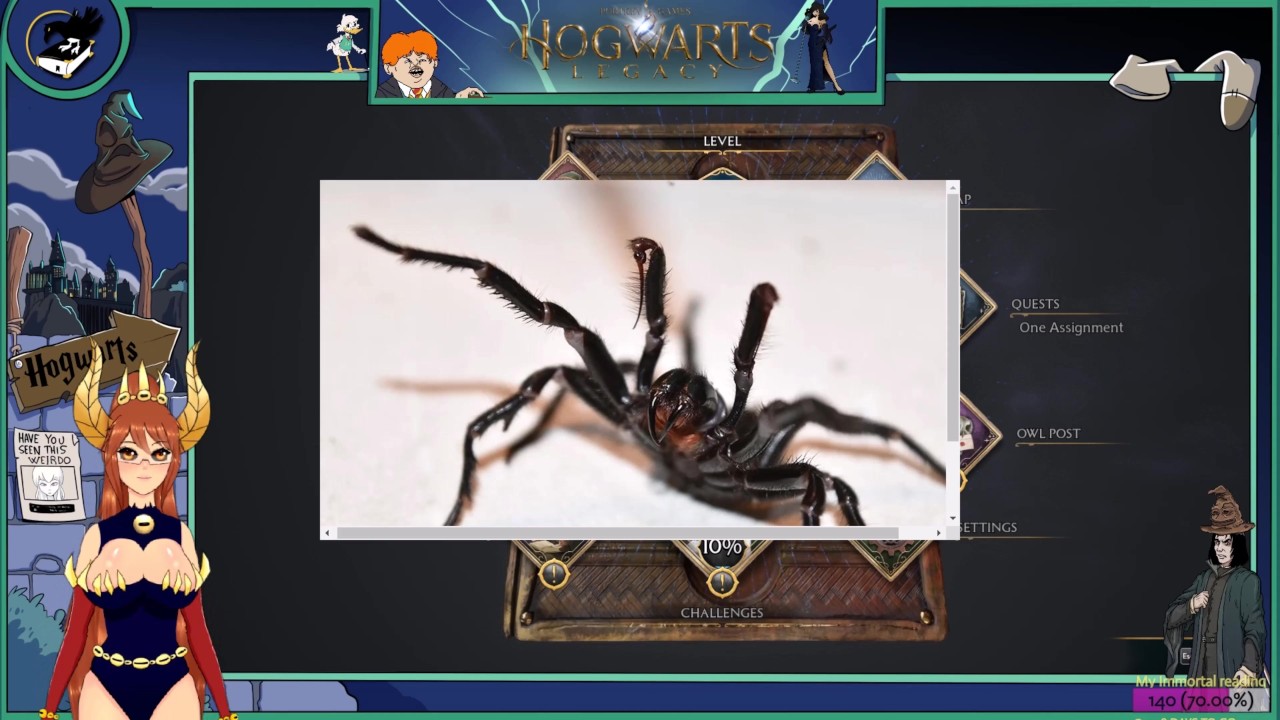 Harry Potter Hogwarts Legacy Parte 8