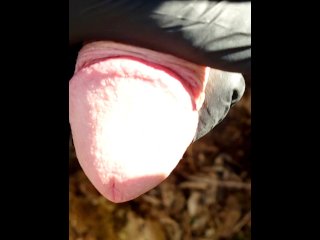 Big Dick Public Forest Cumshot