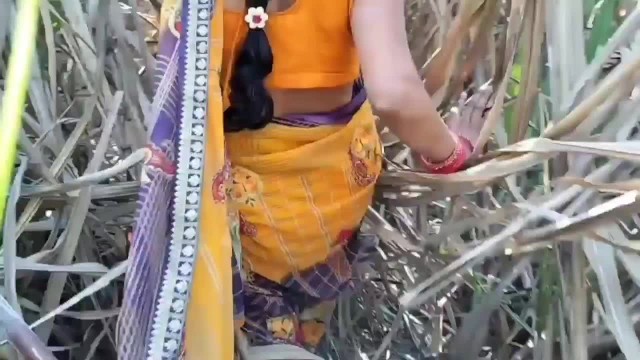 Nuevo Mejor Indio Desi Village Al Aire Libre Bhabhi Video Porno PÃºblico -  Pornhub.com