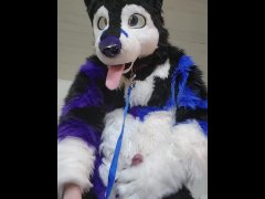Johnny Huskey - Paw off and cum :3
