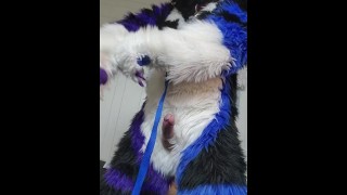 Johnny Huskey - Paw off en cum :3