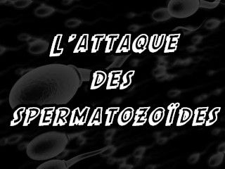 L'attaque Des Spermatozoïdes