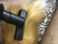 vacuum suck my beutiful furry tail and smack dick(part 1)