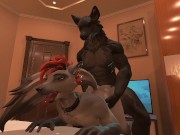 Wolf Breeds Fox Boys Pussy (Heat Gameplay)