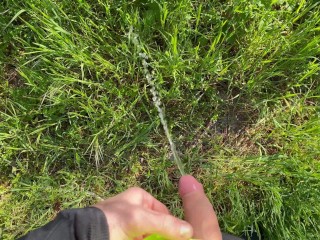 Lunga Pisciata Nel Prato Al Parco