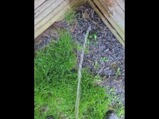 Pissing On The Fence 《4K》