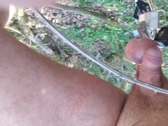 testicle torture padlock and walk in tzsticule torture, brambles in the forest for 1 km