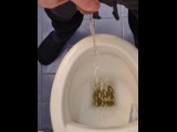 1min Toilet Pissing
