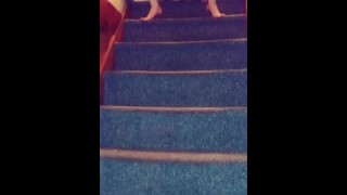 Pequeño pis por las escaleras