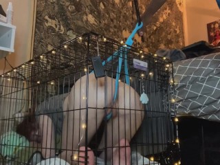 FTMの子犬はウェッジを取得し、Cageに閉じ込められる