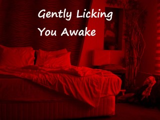 Gently Licking you Awake - Pornhub Gay