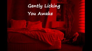 Gently Licking You Awake