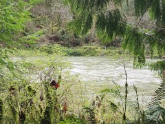 Relax and meditate by the river. Constant calming background noise.