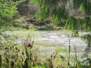 river, white noise, amateur, outdoors