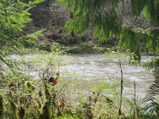 Relax and meditate by the river. Constant calming background noise.