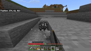 Hole Digging in the Hole in Minecraft