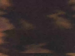 Furry Porn Compilation - Push It - Yiff PMV 14/16