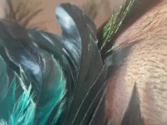 Pussy Teasing Feather ASMR