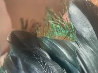 Pussy Teasing Feather ASMR