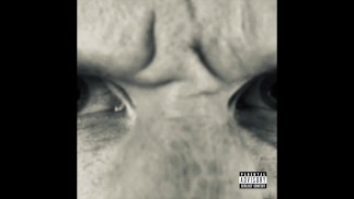 Большой извращенец - Канон в D(eez Nuts)