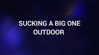 Big Dick sucked Outdoor from Puppy