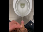 Preview 1 of POV - Public Toilet pissing #2