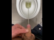 Preview 3 of POV - Public Toilet pissing #2