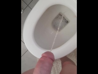 トイレで放尿する私x