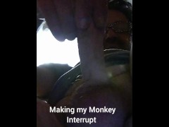 Making my Monkey Interrupt - Screenshot 2 of 16 - Interrupt