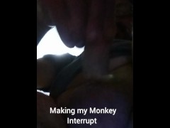 Making my Monkey Interrupt - Screenshot 3 of 16 - Making My Monkey
