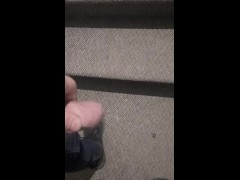 Pissing in appartment building again!!! 11/16