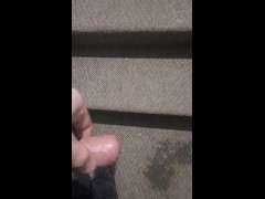 Pissing in appartment building again!!! 16/16