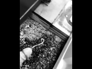 Works site block locked. Desperate for a pee ends up in outside piss and cum in front of train line.