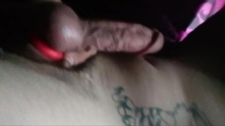 Denver Dubois PRECUM 公鸡环中的大公鸡