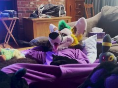 Fursuiter in a kigu masturbating