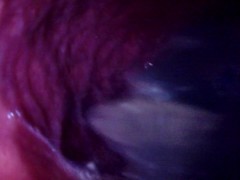 Internal Anal View Bad Dragon Flint Cums In A Condom After Pounding My Ass
