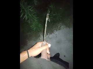reality, vertical video, pissing, small dick